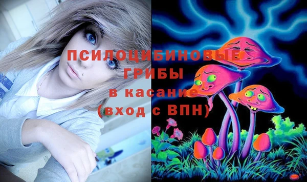 apvp Елабуга