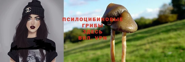 apvp Елабуга