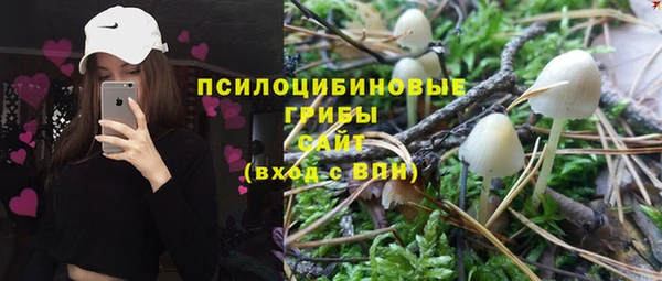 МДМА Ельня