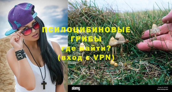 ALPHA-PVP Елизово