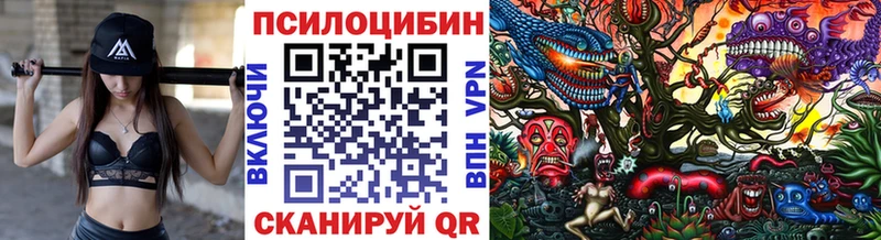 Псилоцибиновые грибы Cubensis Хадыженск